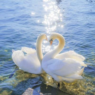 黄仁勋称所有大学毕业生都应该成为AI专家